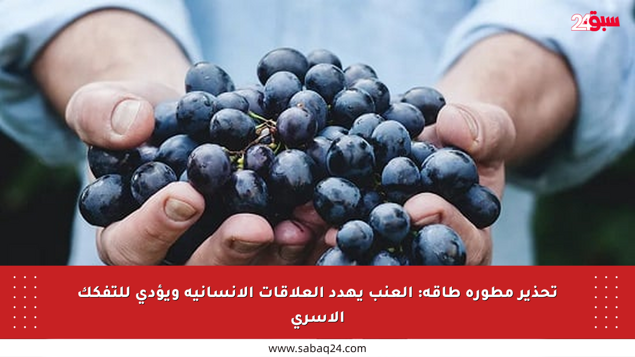 تحذير مطورة طاقة: العنب يهدد العلاقات الإنسانية ويؤدي للتفكك الأسري